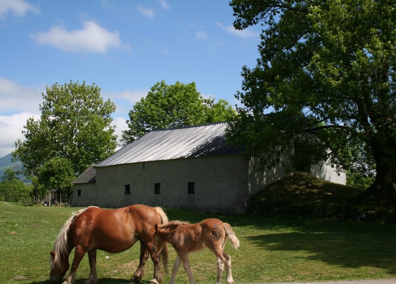 Repas et Chansons à la Ferme