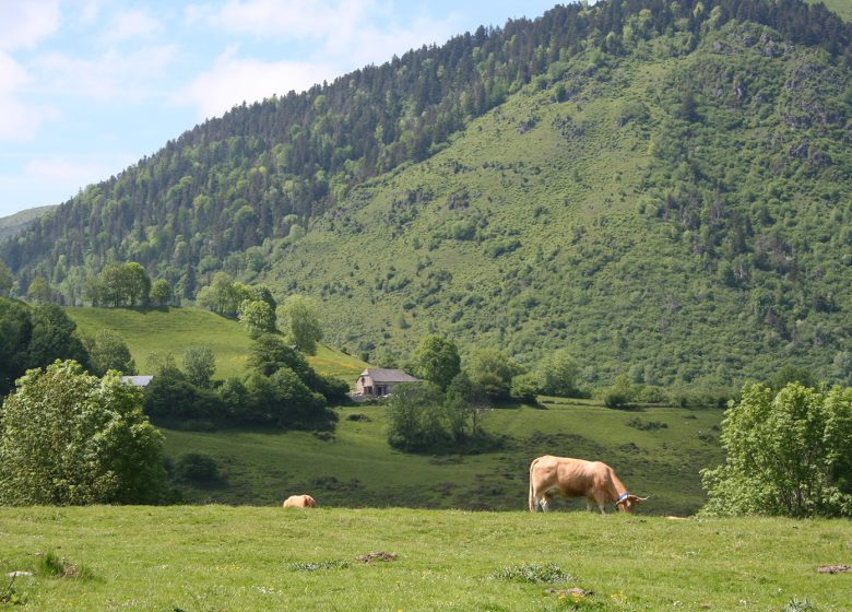 Repas et Chansons à la Ferme