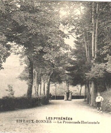 Randonnée sur la Promenade Horizontale des Eaux Bonnes : l&rsquo;histoire de la forêt pyrénéenne et des arbres de l&rsquo;Impératrice