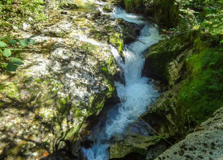 Cascade du Gros Hêtre