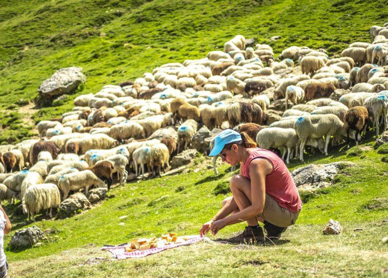 Balade avec un berger au Soulor