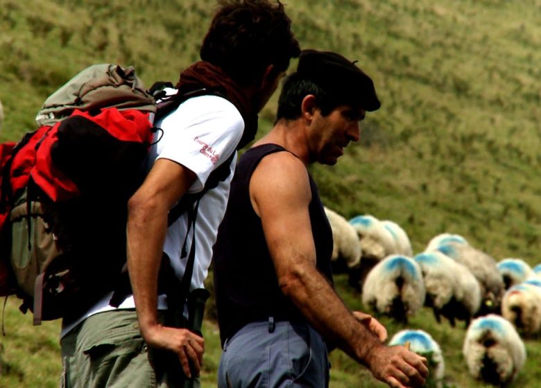 De tocht door de Ossau-vallei