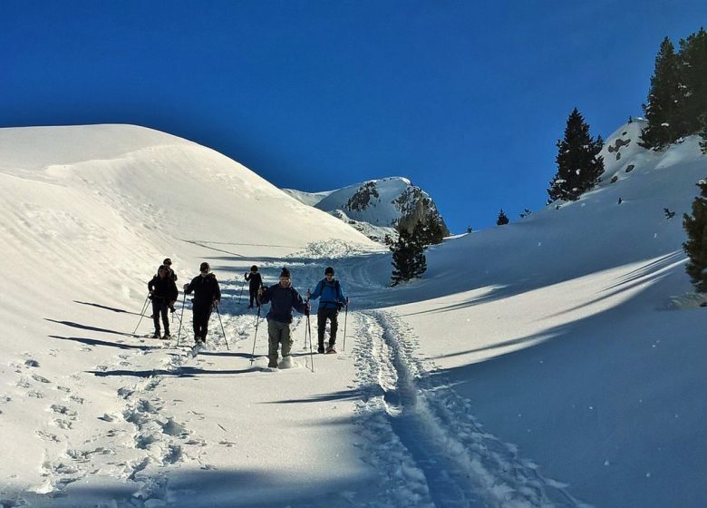 1/2 Journée Randonnée Raquettes « groupe »