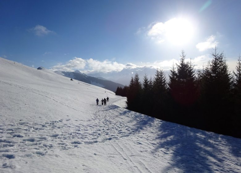 Monsieur Nicolas GAULTIER – Accompagnateur montagne et escalade