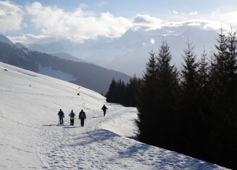 Monsieur Nicolas GAULTIER – Accompagnateur montagne et escalade