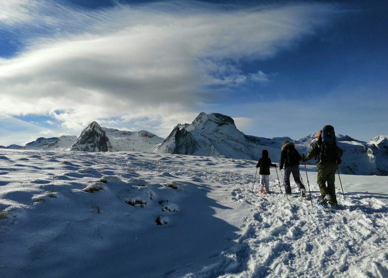 Cóctel multiactividad de invierno