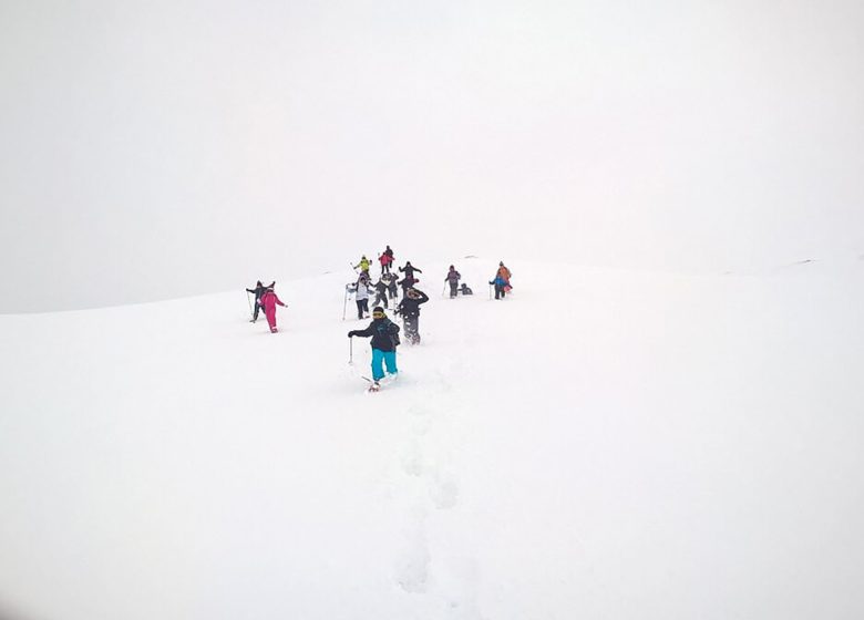 1/2 dag sneeuwschoenwandelen en ontdekkingen met CAMINAM