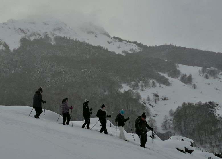 1/2 Tag Schneeschuhwandern mit Bruno