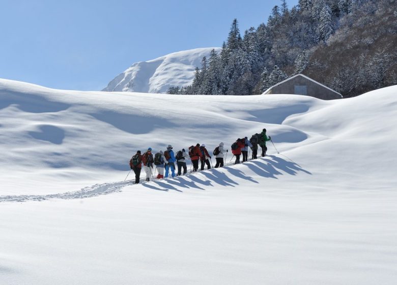 1/2 Tag Schneeschuhwandern und Entdecken mit CAMINAM