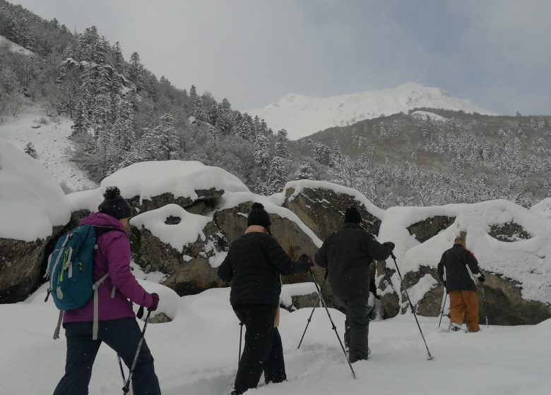 1/2 Tag Schneeschuhwandern mit Bruno