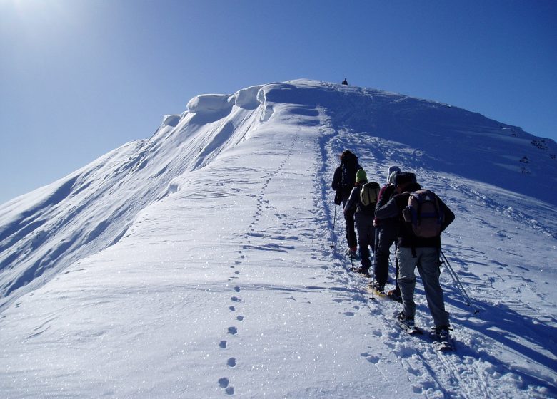 Journée initiation en ski de randonnée
