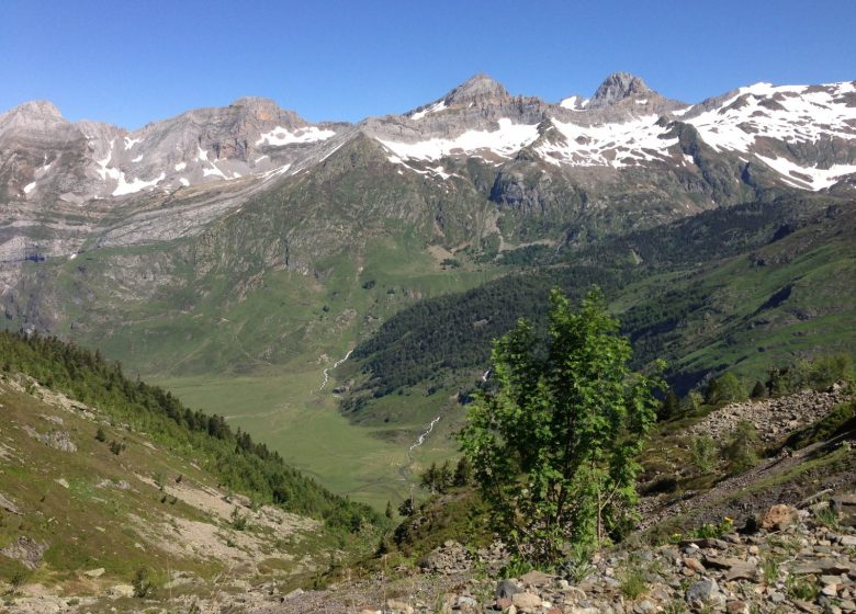 Plateau du Soussouéou