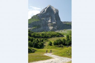 Location de trottinettes