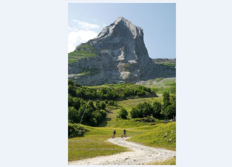 Location de trottinettes
