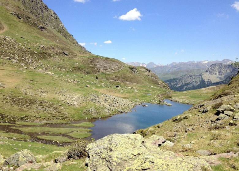 Découverte du Pastoralisme avec les Bergères de Magnabaigt