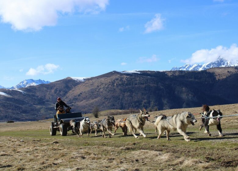 Tracés Sauvages – Chiens de Traîneau