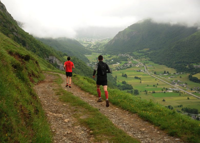 Randonnée Trail : découverte, entrainement et perfectionnement