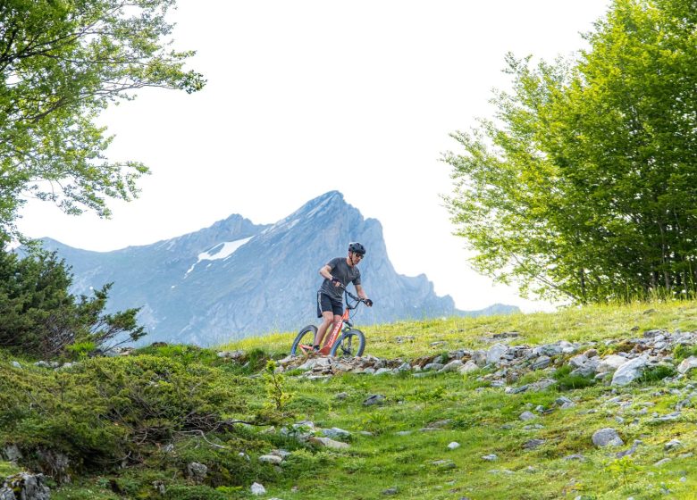 Roller- und Fatbike-Verleih