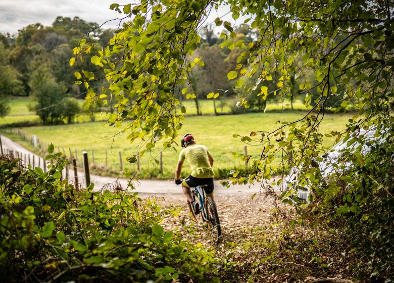 Vélo, détente et volupté