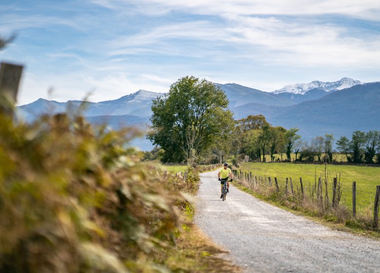 Vélo, détente et volupté