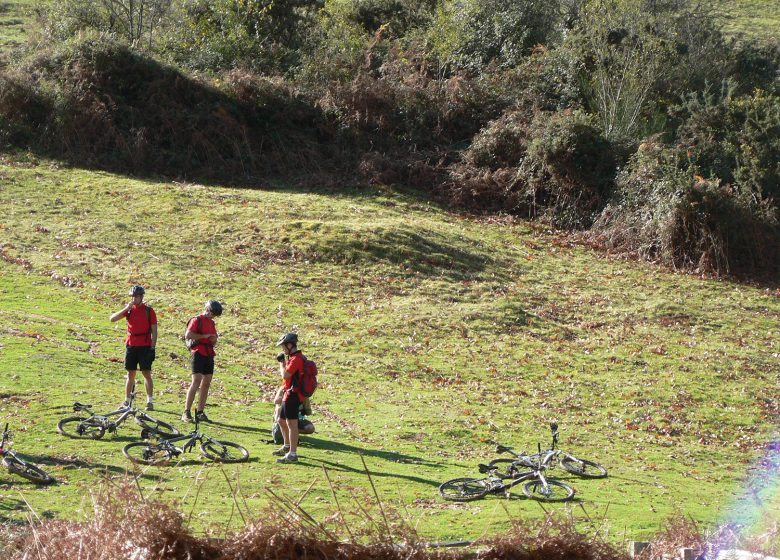 1/2 Journée à VTT