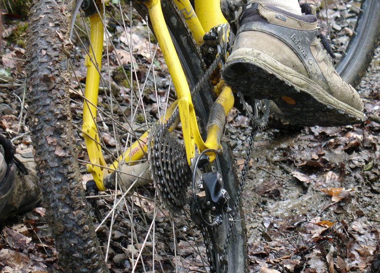 1/2 Journée à VTT