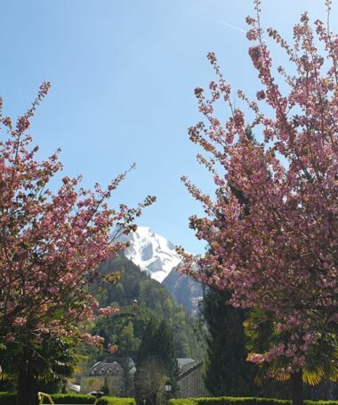 Balade commentée des Eaux-Bonnes