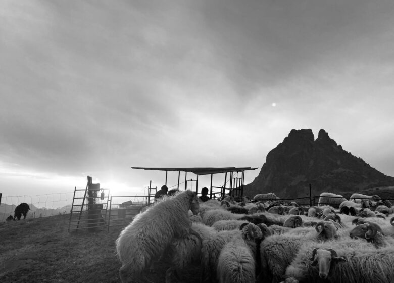 Là-Haut – Randonnées accompagnées en montagne