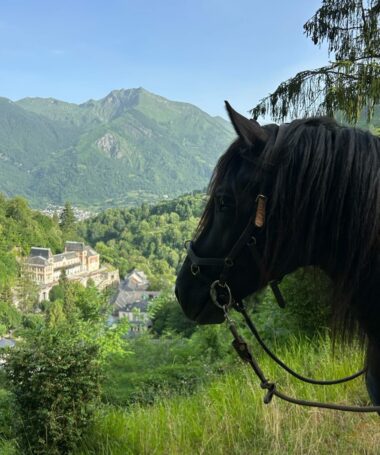 Balade à cheval dans le jardin
