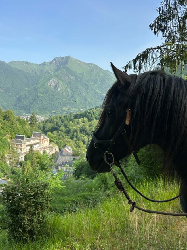 Balade à cheval dans le jardin