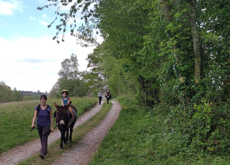 Au rythme des ânes et des saisons