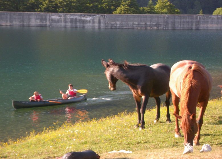 Bious Pagayous – Canoë Kayak