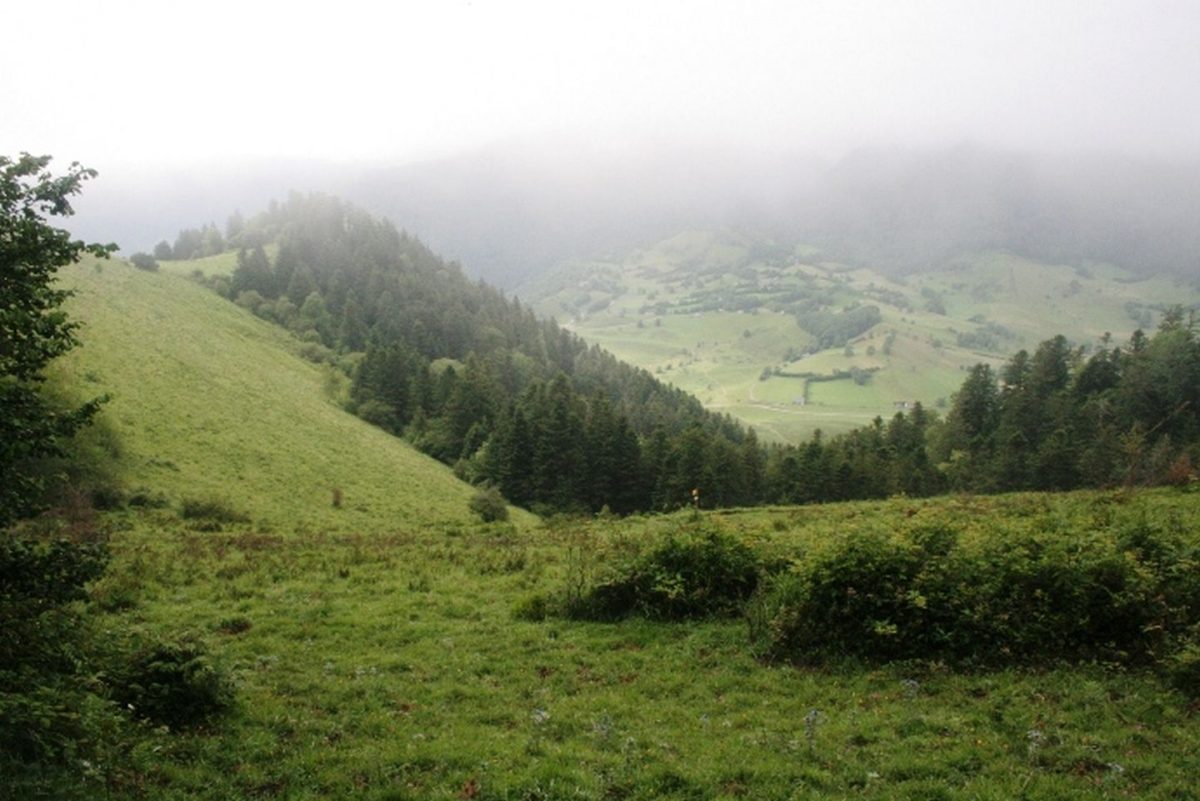 Il circuito di Lazerque IZESTE VTT Gourette Pirenei Atlantici