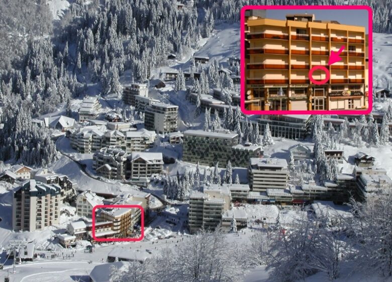 Agence Barroso – Marmottes Mar-C1