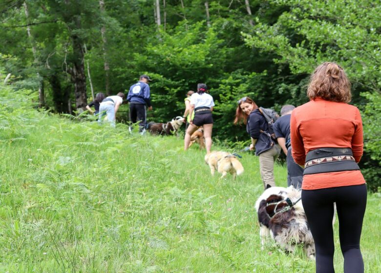 Cani Rando avec Tracés Sauvages