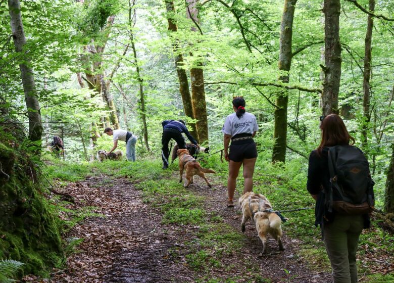 Cani Rando avec Tracés Sauvages