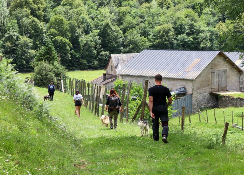 Cani Rando avec Tracés Sauvages