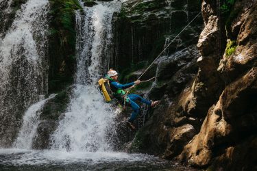Aventure Chlorophylle