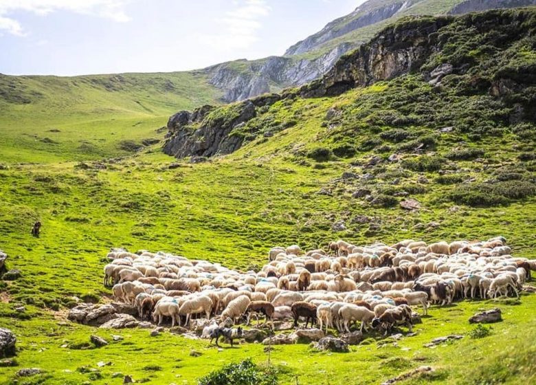 Granja María Blanca