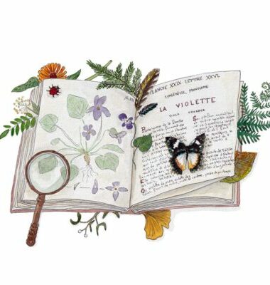 Atelier créatif : Dessinez votre carte postale avec Alice Fauconnier