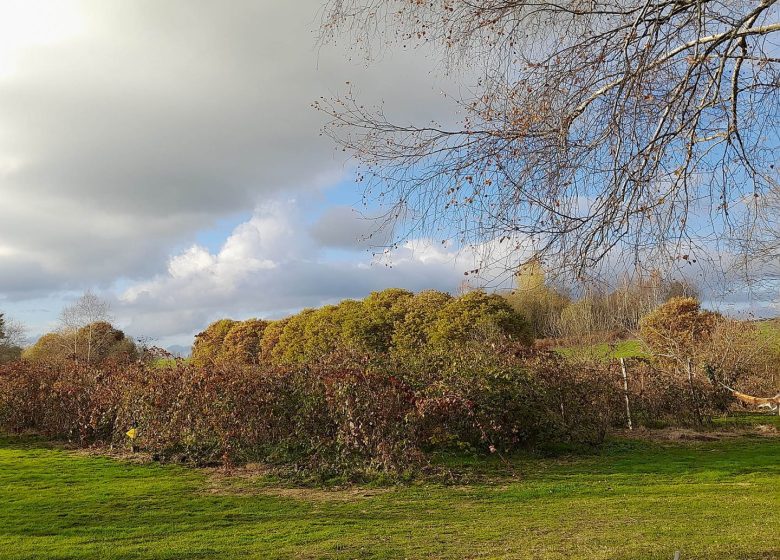 Los jardines de Ossau