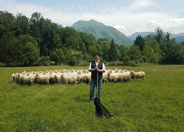 Ferme Jean-Noël CASTAING