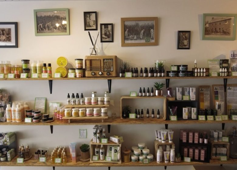 L’Atelier du Vert
