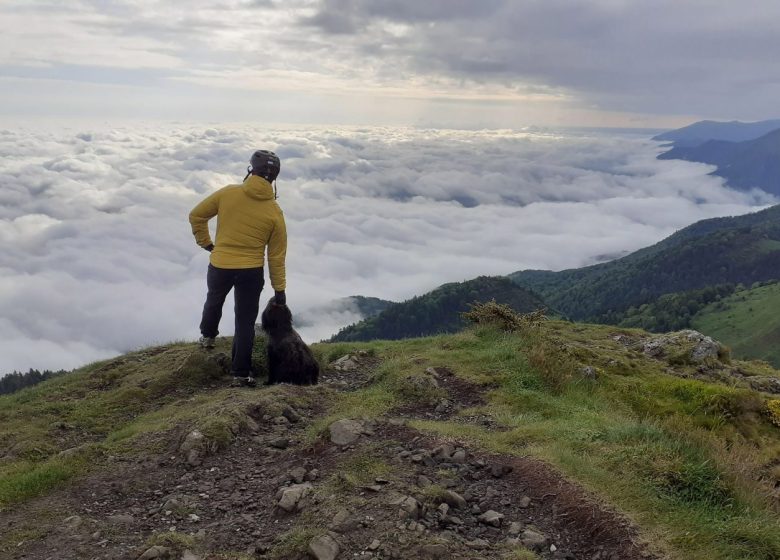 Herr Sylvain MATEO – BPJEPS Wandern