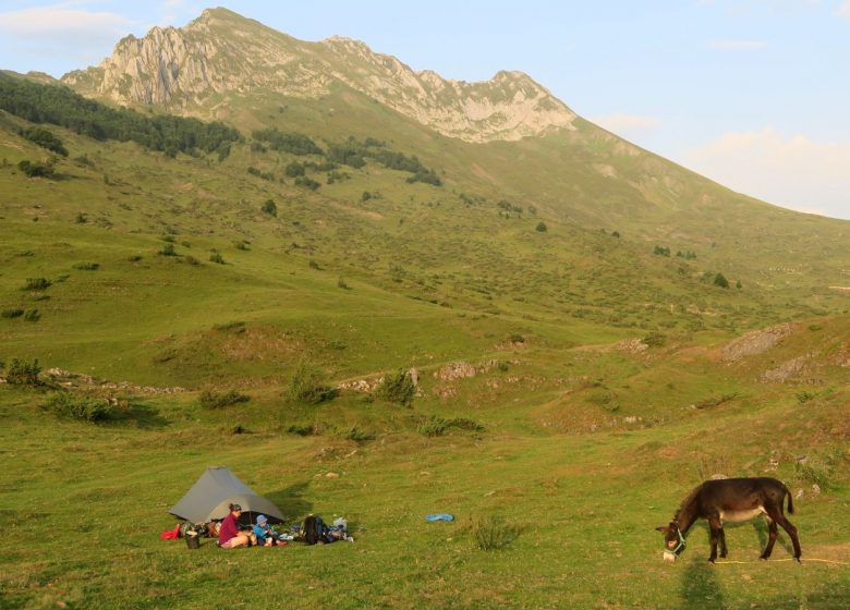 Pequeños Pasos – Paseos en burro