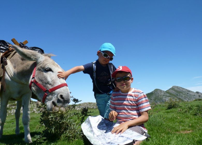 Pequeños Pasos – Paseos en burro