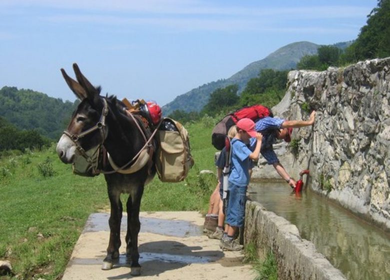 Pequeños Pasos – Paseos en burro