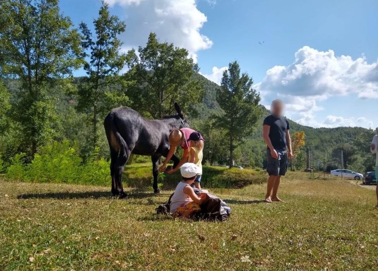 Au rythme des ânes et des saisons