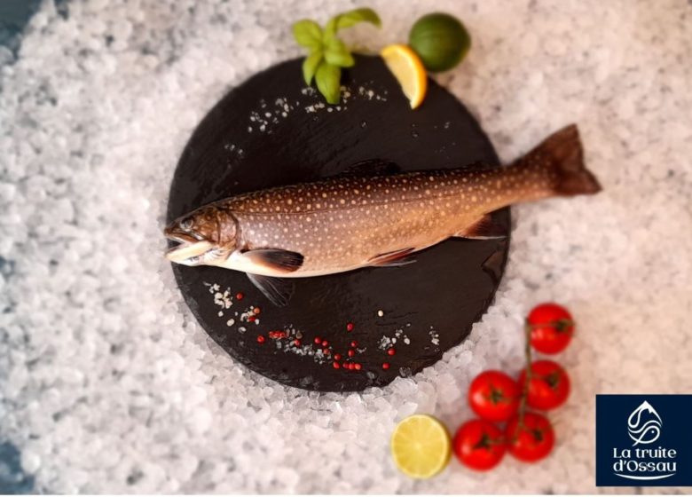 Pisciculture la truite d’Ossau