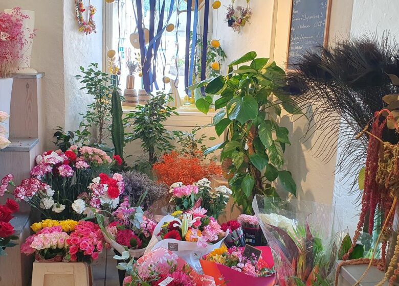 Josy fleurs